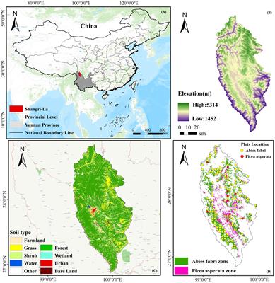 Forest aboveground biomass estimation based on spaceborne LiDAR combining machine learning model and geostatistical method